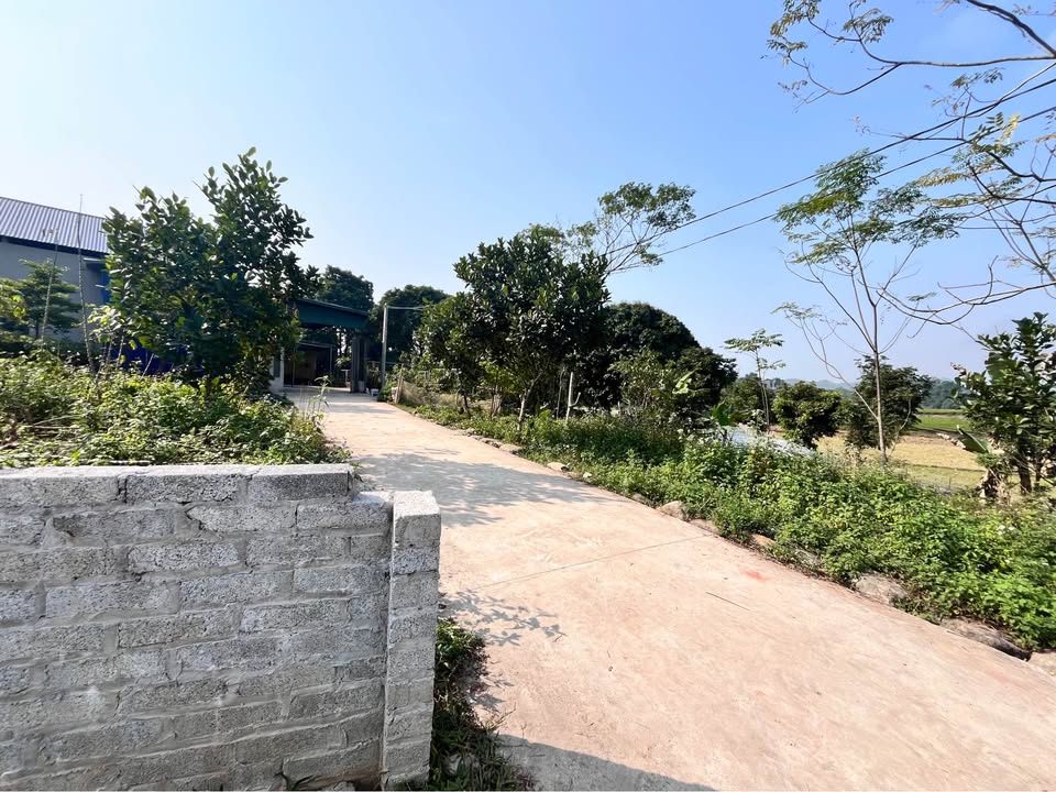 Đất thổ cư Phúc Xuân 1000m² giá 4.XX tỷ - Cách đường Bắc Sơn chỉ 300m!