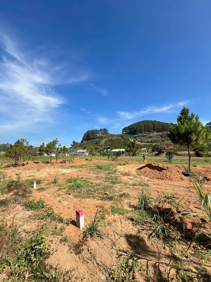 Đất nghỉ dưỡng ven Đà Lạt, Lâm Hà 150m² giá chỉ 620 triệu - Tiềm năng tăng giá rõ rệt!