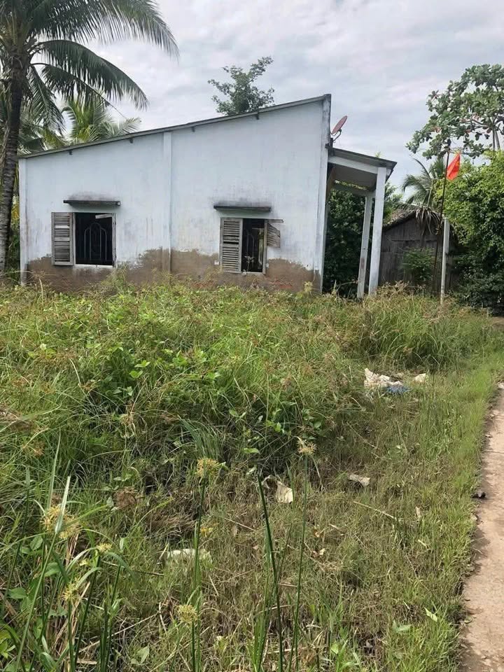 Đất nền ấp An Qui, xã Đa Phước Hội, 300m² giá 280 triệu - Đầu tư sinh lời tuyệt vời!