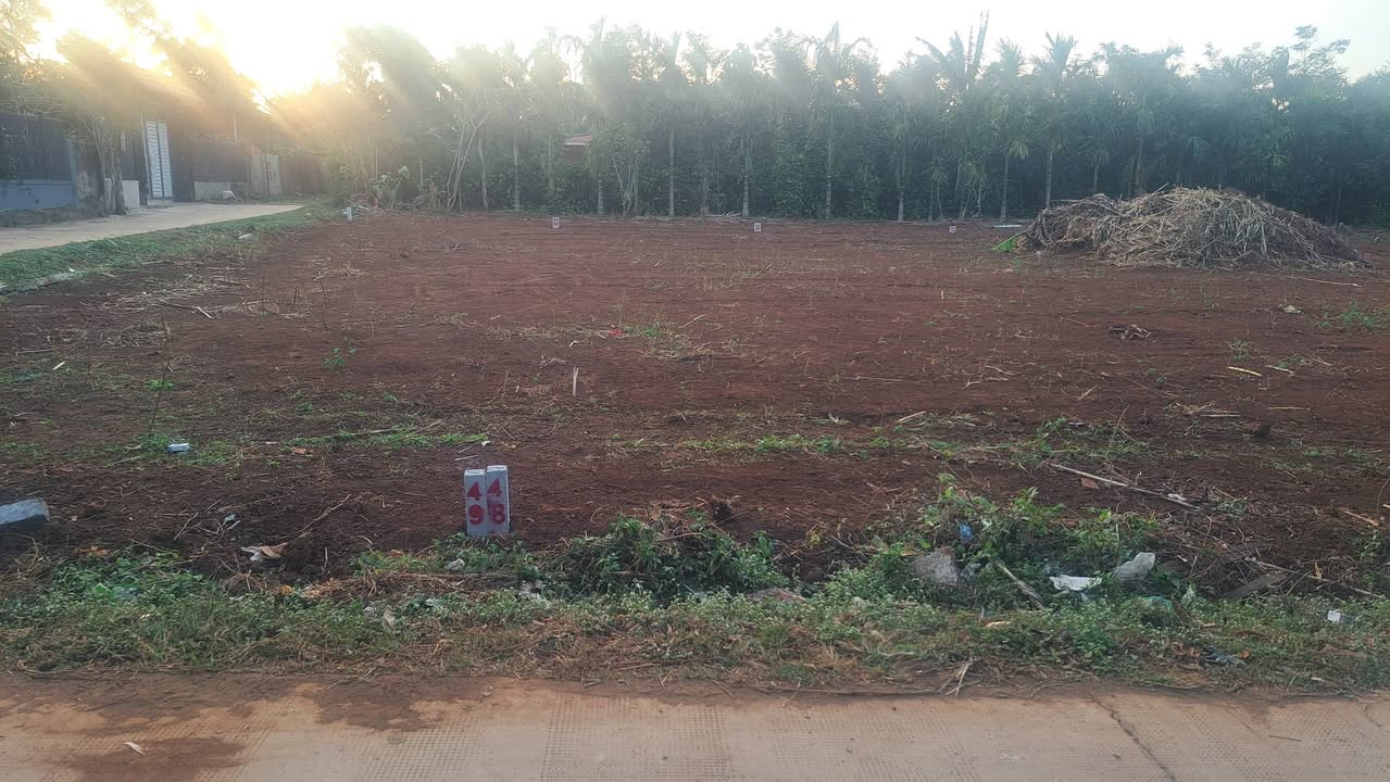 Đất nền Lốc 7 Lô, Xã Ea Tiêu, Huyện Cư Kuin, diện tích 130m², giá từ 360 triệu - Cơ hội đầu tư hấp dẫn!