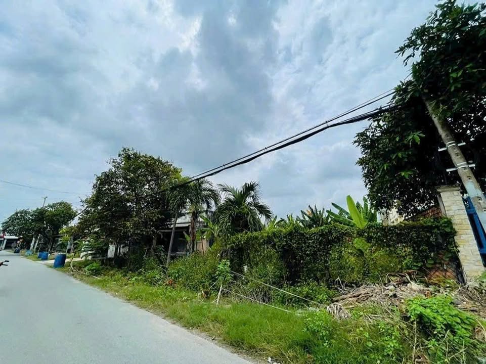 Đất nền 1316m² tại Phước Vĩnh An, Củ Chi - Giá 15.5 tỷ, xây dựng tự do!