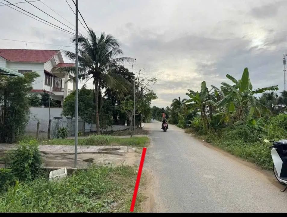 Đất nền thổ cư 134.1m² Đường Chí Sinh, Tân Phú - Đầu tư sinh lời!