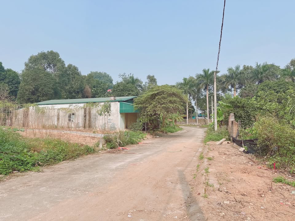 Đất nền khu Lầm Lỗ, xã Tiên Kiên, Lâm Thao, 165m² giá 1 tỷ - Tiềm năng đầu tư sinh lời cao!