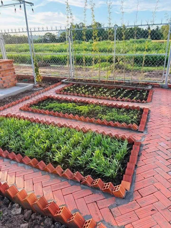 Nhà cấp 4 hẻm Trần Khánh Dư, Nghĩa Dõng 200m² giá 1.2 tỷ - Sẵn vườn trái cây ăn quả!