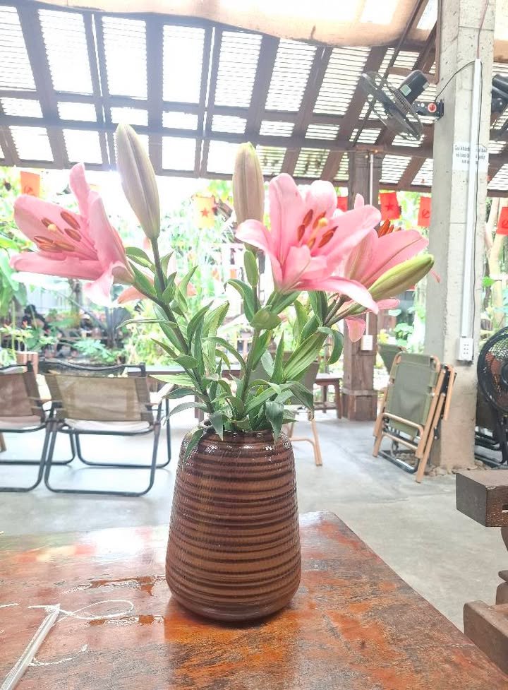 Bán đất mặt tiền Đường lớn Khu Dân Cư Đồng Quán 100m² giá 1.8 tỷ - Đầu tư sinh lời ngay!