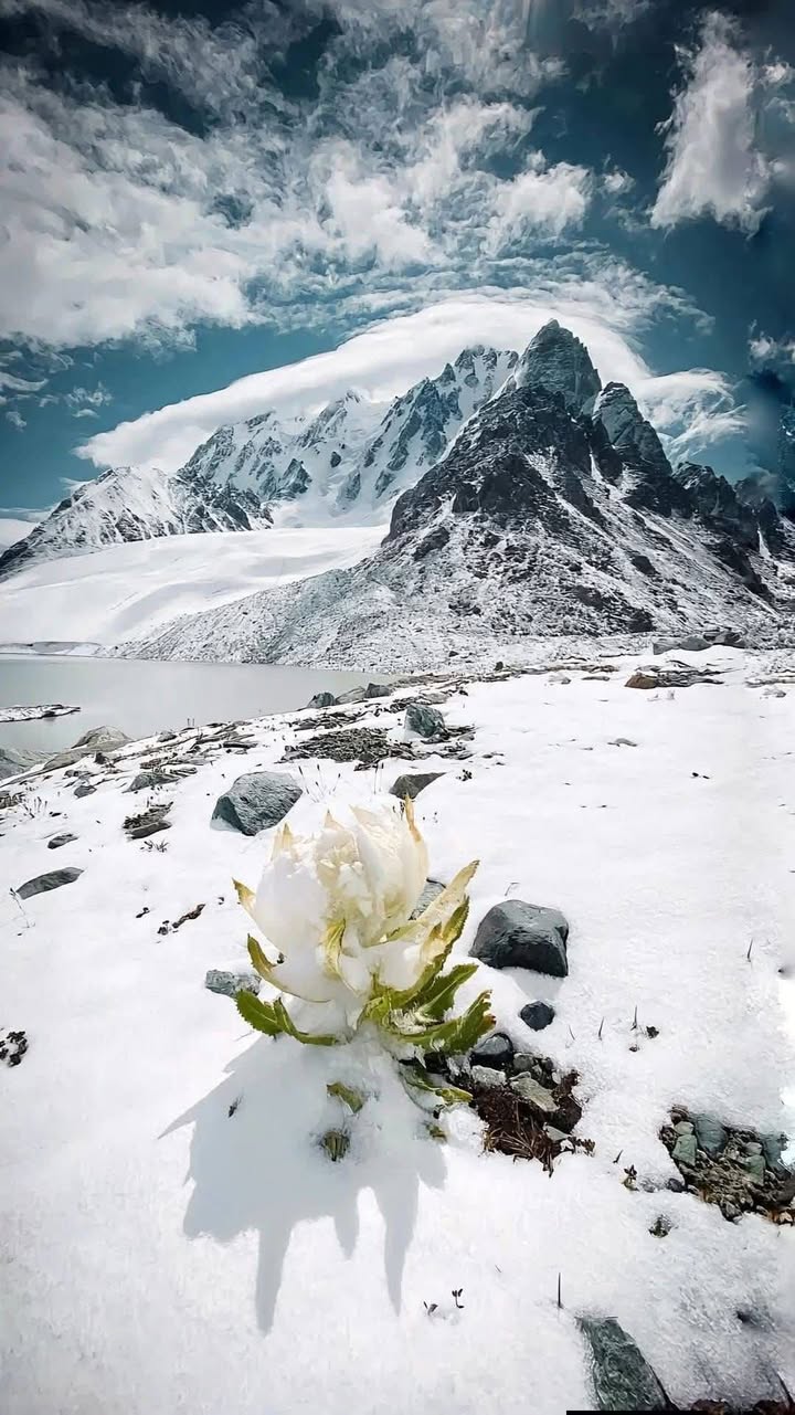 Phòng trọ thôn Thế Long, xã Tịnh Phong, 156m² giá chỉ 11 triệu/tháng - Cơ hội đầu tư hấp dẫn!