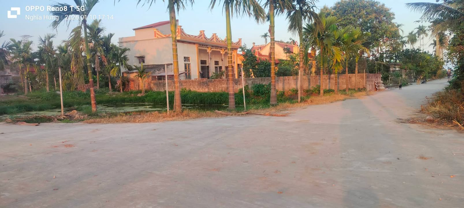 Đất nền đẹp tại Đội 8, Xã Nam Hùng, 118m² chỉ 500 triệu - Cơ hội đầu tư tuyệt vời!