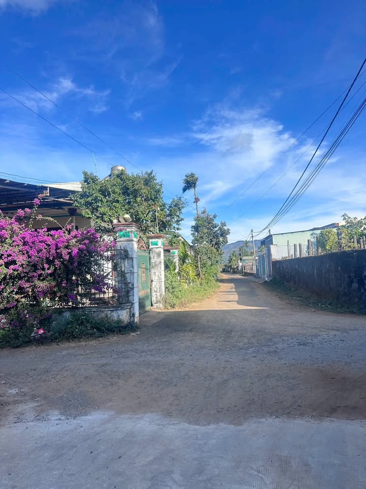 Đất nền xã Nghĩa Hưng 600m² giá 1.2 tỷ - Đất ở chính chủ, giao thông thuận lợi!