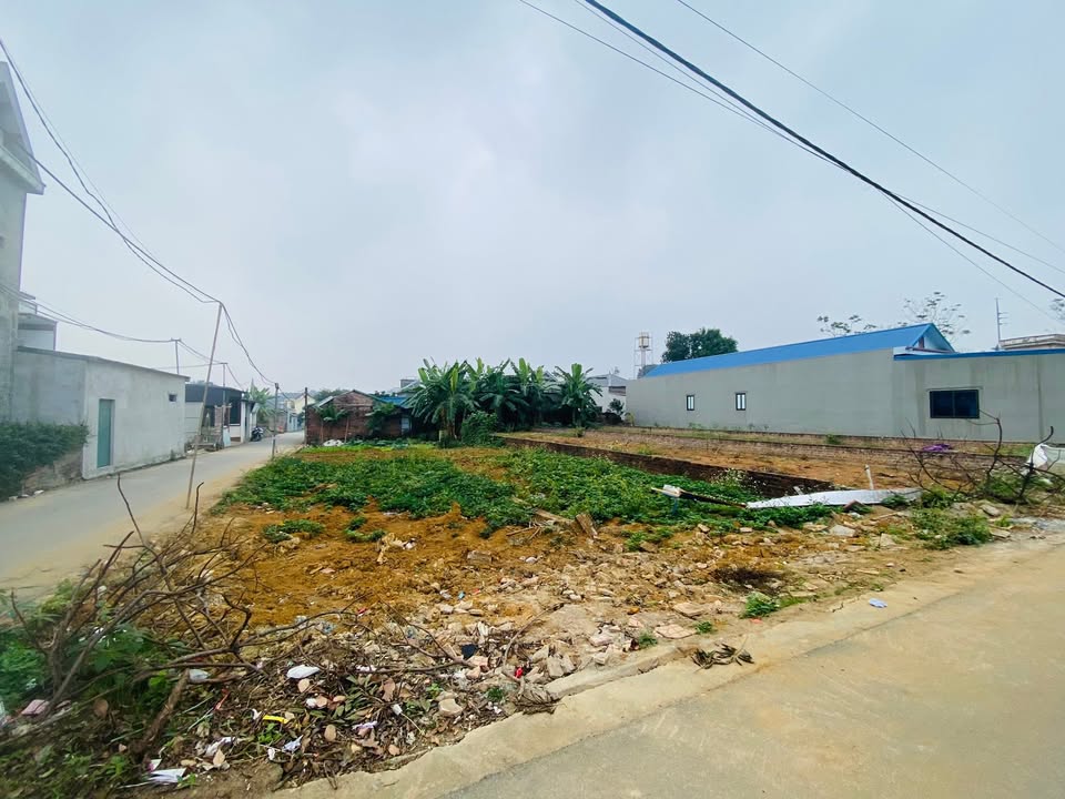 Đất nền Phú Cát Quốc Oai 113m² - Lô góc hai mặt tiền, cơ hội đầu tư hiếm có!