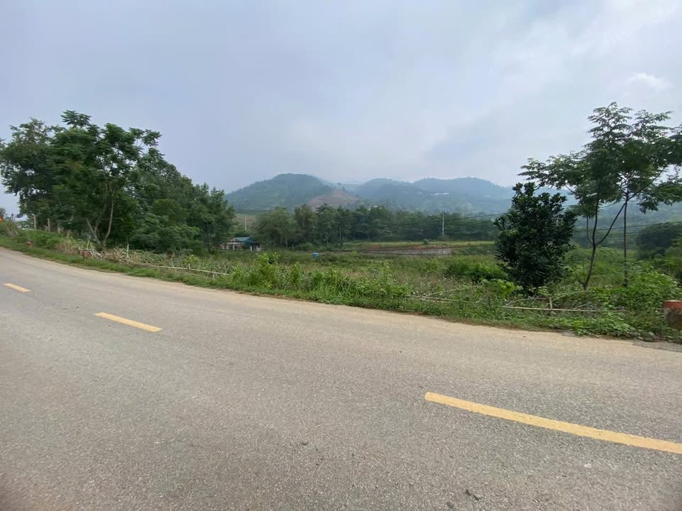 Đất thổ cư 1.000m² tại đường 446, xã Yên Trung, Thạch Thất - Giá thỏa thuận hấp dẫn!