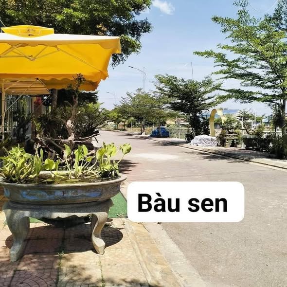 Đất Bàu Sen - Phường Đức Phổ - Diện tích đa dạng từ 108m² đến 202,5m² - Giá chỉ từ 900 triệu!