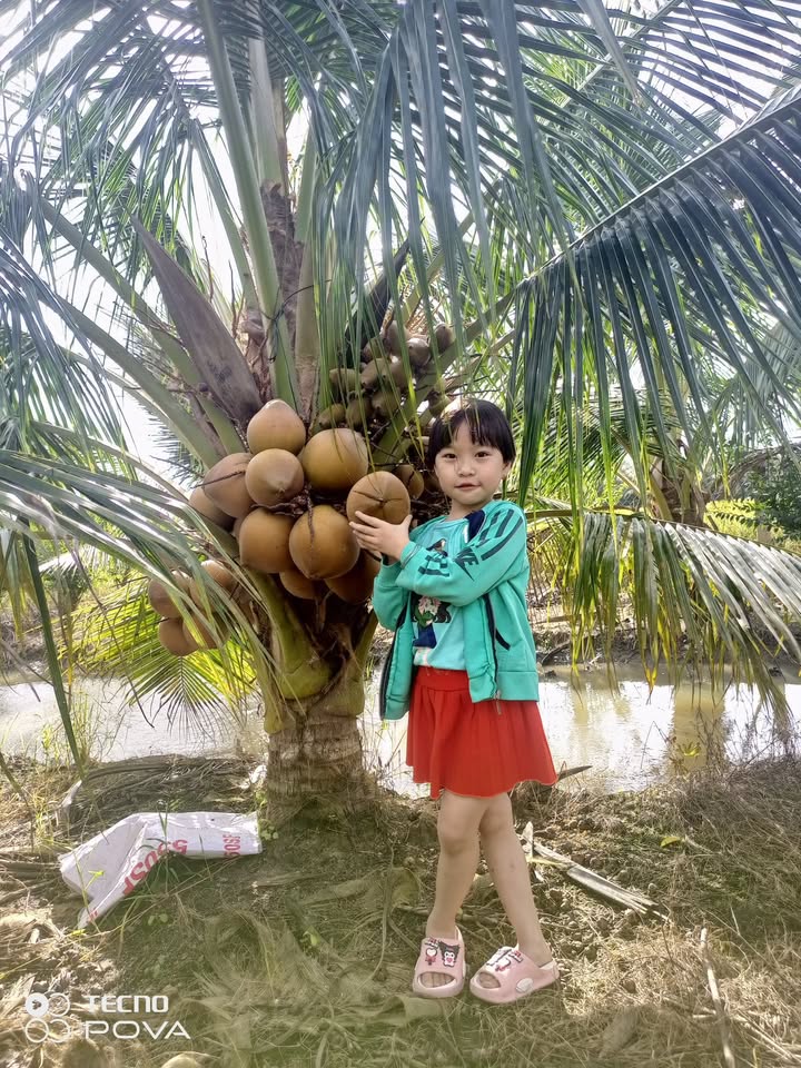 Cho thuê Farm 30.000m² tại ấp Thạnh Lạc Đông, Gò Công Tây - Giá chỉ 30 triệu/năm!