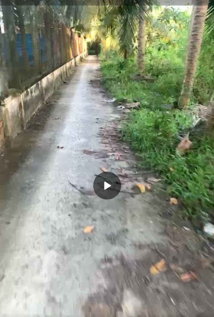 Đất nền Hòa Tân, Châu Thành, Đồng Tháp 100m² giá 310 triệu - Sổ hồng full thổ cư!