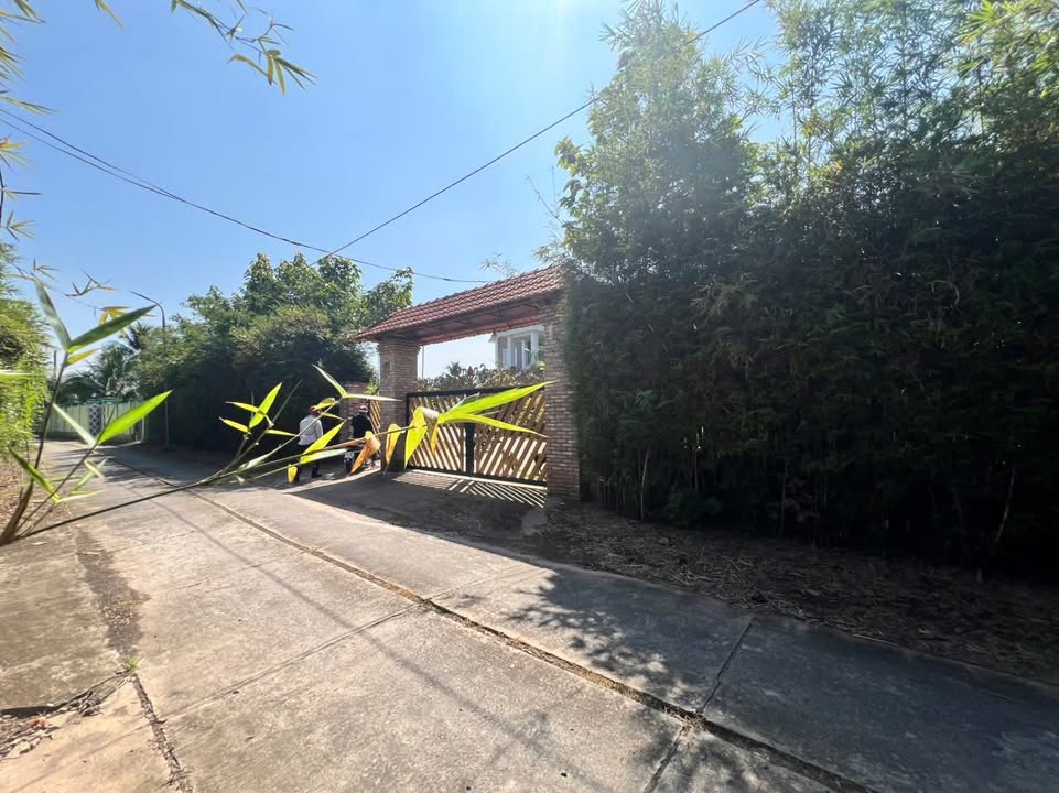 Bán Farm Cồn Tân Long, Mỹ Tho 10.000m² giá 28 tỷ - Đầu tư lý tưởng cho du lịch sinh thái