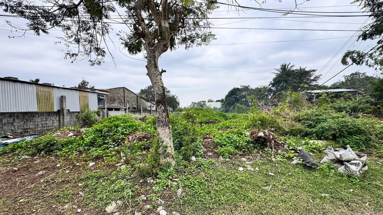 Đất nền đường biển Đà Nẵng - Hội An 1120m² giá 30 tỷ - Cơ hội đầu tư hấp dẫn!