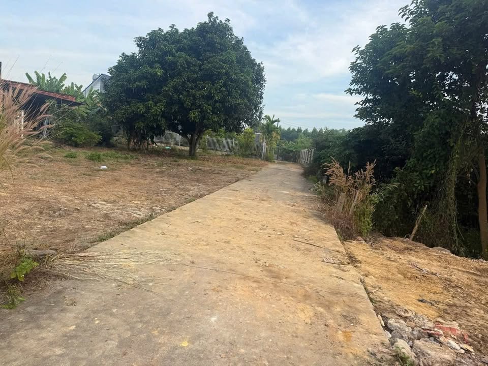 Đất thổ cư Nghĩa Thành, Bà Rịa - Vũng Tàu 139m² giá 750 triệu - Đầu tư sinh lời hấp dẫn!