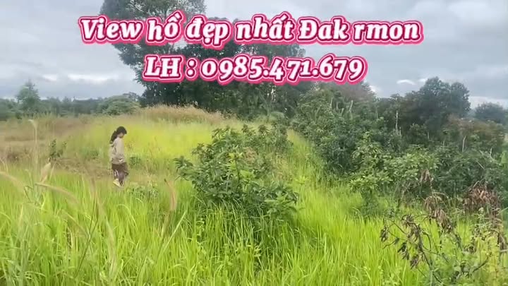 Đất hồ view đẹp tại Đăk Rmon, Gia Nghĩa 1,7ha giá chỉ 5,5 tỷ - Cơ hội đầu tư tuyệt vời!
