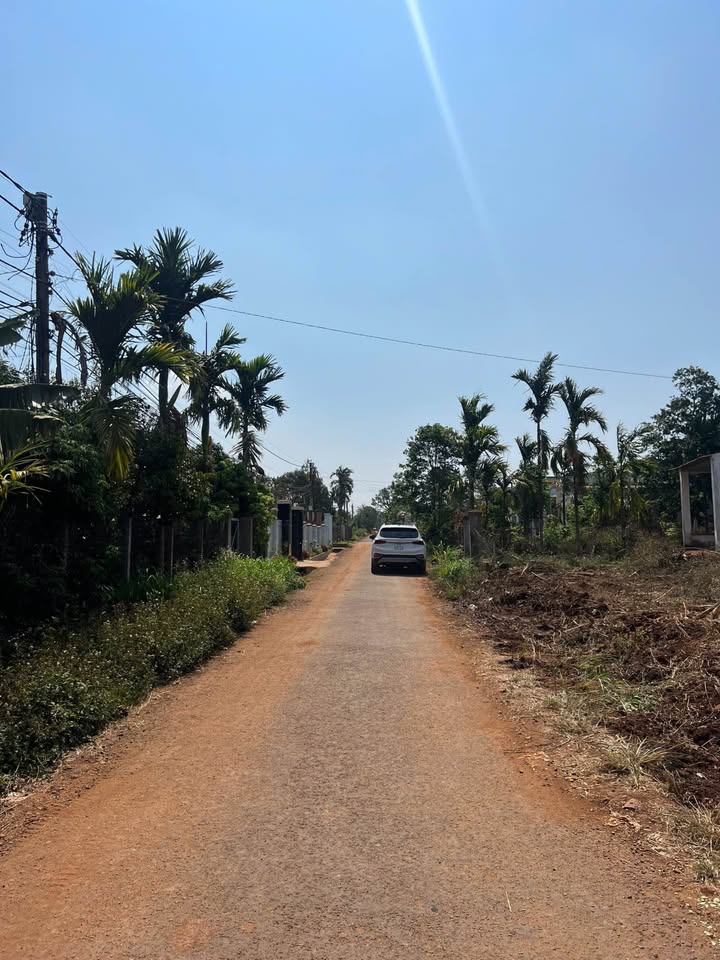 Đất nền lốc 10 lô tại Hòa Thuận, Buôn Ma Thuột 140m² giá 7.5 tỷ - Cơ hội đầu tư hấp dẫn!