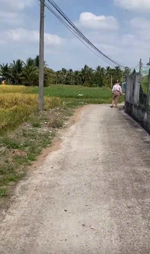 Đất nền 3868m² tại Ấp 4 Nhựt Chánh, Bến Lức chỉ 700 triệu - Cơ hội đầu tư tuyệt vời!