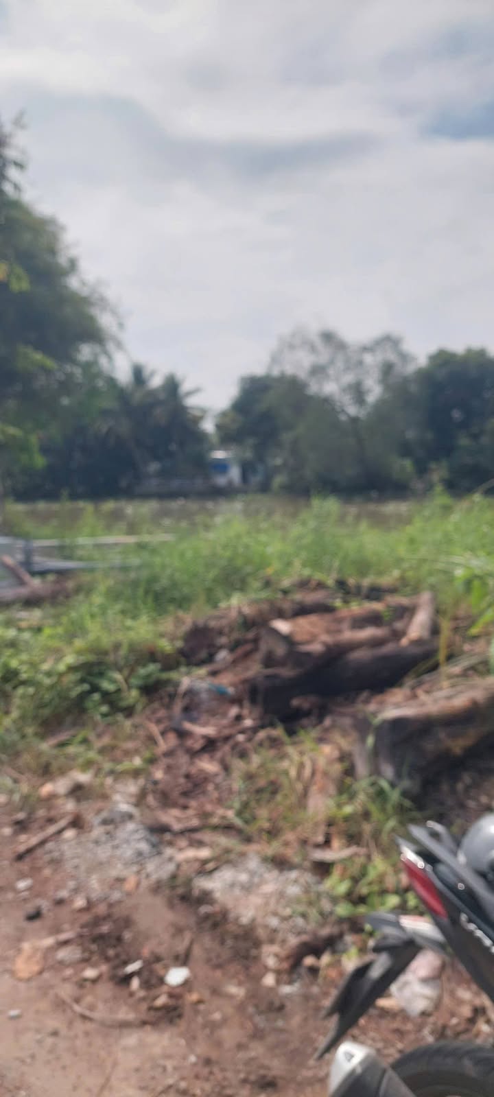 Đất nền 202,4m² tại đường Số 6, An Bình, Cần Thơ - Giá chỉ 4.9 tỷ thương lượng!