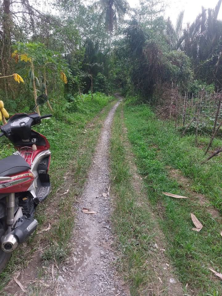 Đất nền mặt tiền Rạch Nước Lạnh, Cần Thơ 72m² giá 799 triệu - Đầu tư sinh lời ngay!