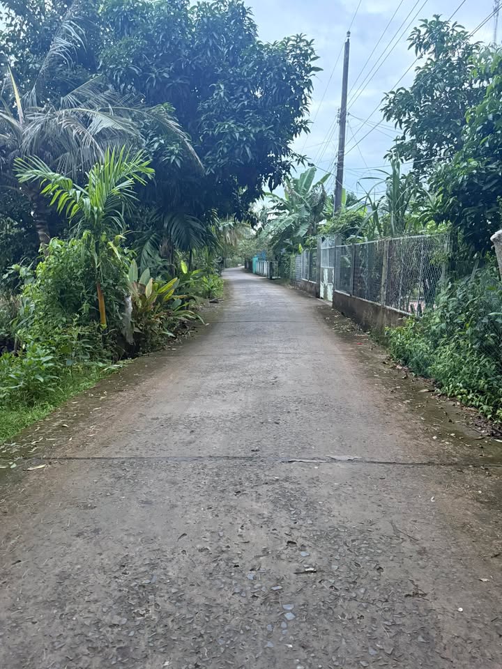 Đất thổ cư 82.5m² mặt tiền đường Đan L 4m - Giá chỉ 600 triệu!