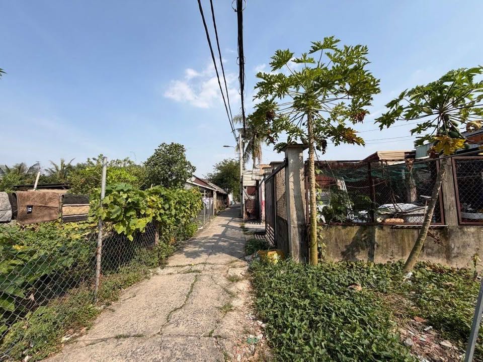 Đất nền Bình Quới 100m² giá chỉ 2 tỷ - Cơ hội đầu tư hấp dẫn!