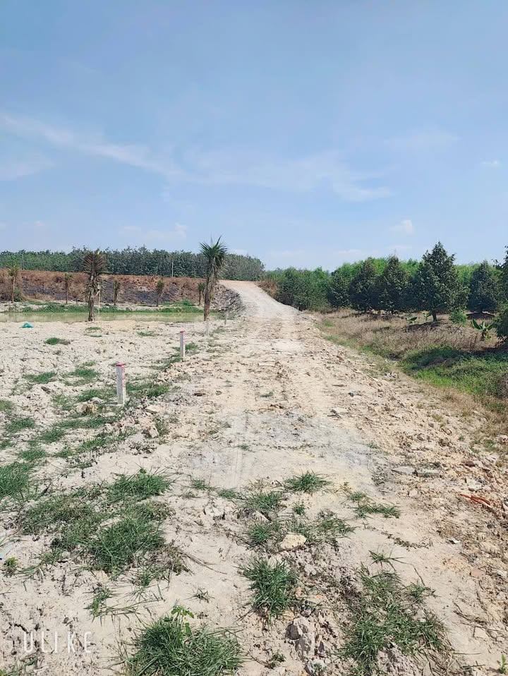 Đất nền 200m² xã Phước Đông, Gò Dầu - Sổ riêng, công chứng liền tay chỉ 399 triệu