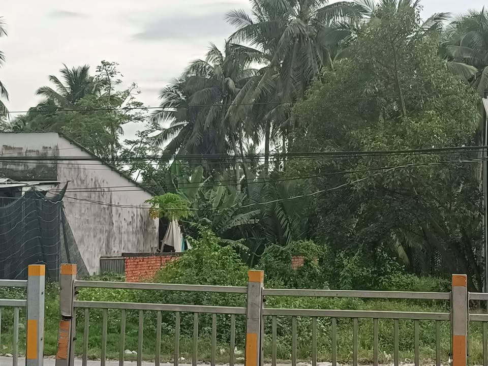 Đất nền mặt tiền Quốc lộ 60, 154.8m² giá 1.625 tỷ - Cơ hội đầu tư hấp dẫn!