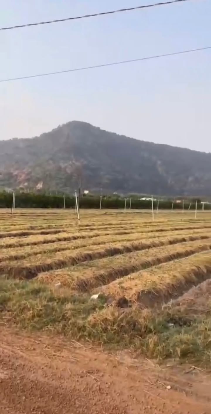 Đất nền 10.000m² chân núi Bà Đen Tây Ninh - Giá tốt cho đầu tư