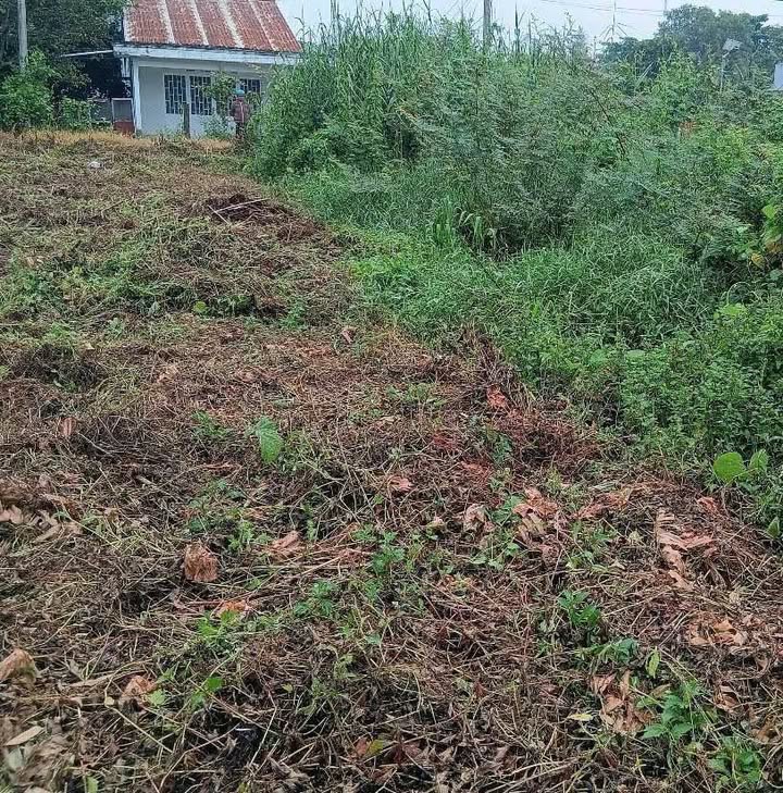 Đất nền Tân Hạnh, Long Hồ, 85m² giá 400 triệu - Cơ hội đầu tư tốt!