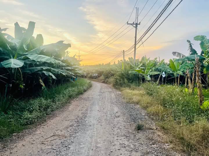 Đất Suối Đá - Gia Kiệm, Đồng Nai 1000m² giá 520 triệu - Đầu tư lý tưởng!