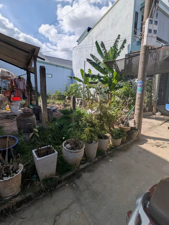 Đất thổ cư Phú Ân Nam 2, Diên An 68,5m² giá 1.26 tỷ - Cơ hội đầu tư hấp dẫn!