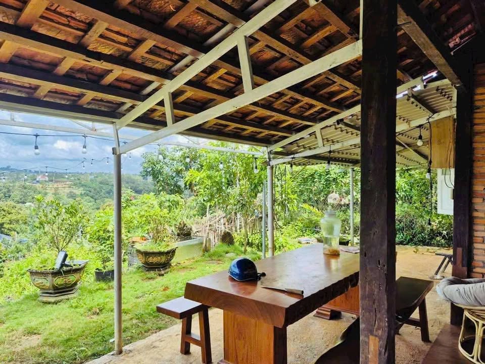 Homestay cho thuê tại Khu Bình Minh Đại Bình 360m² - View đẹp, sẵn sàng vào ở ngay!