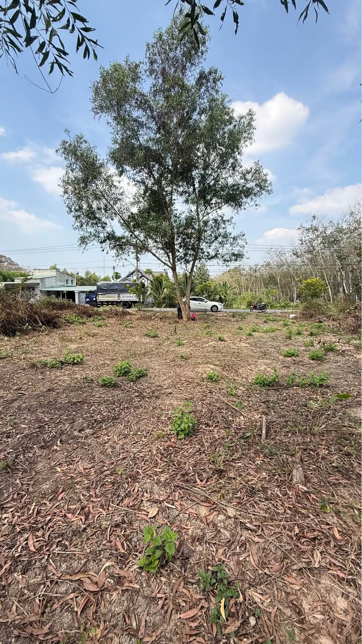 Đất thổ cư mặt tiền ĐH 515, xã Phước Hòa 340m² giá 1.1 tỷ - Cơ hội đầu tư hiếm có!