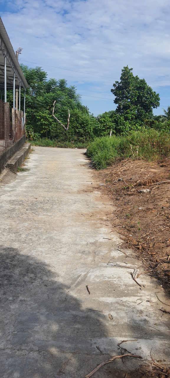 Đất nền mini Nghĩa Thuận 130m² giá 490 triệu - Vị trí thuận lợi ô tô vào tận nơi!