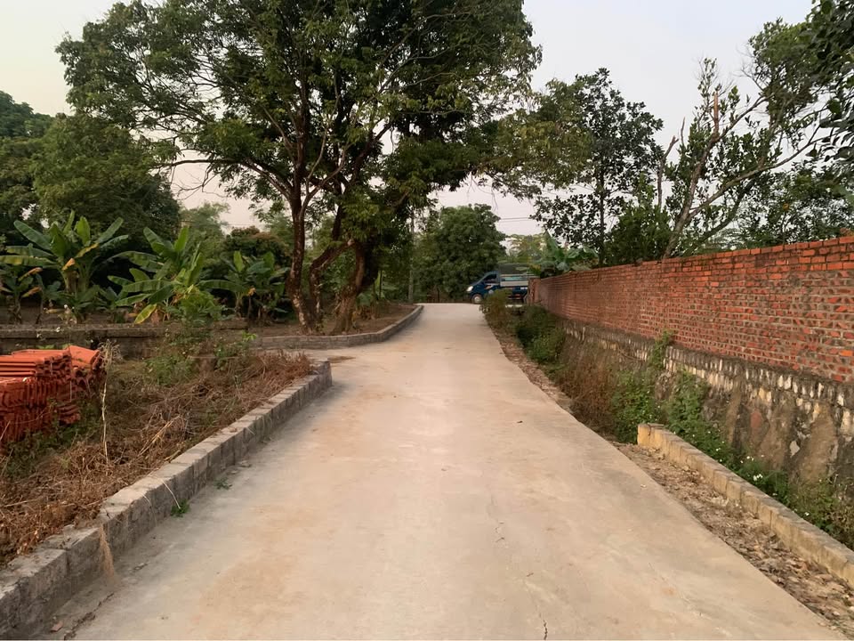 Đất nền Kim Sơn Đông Triều 96.5m² giá chỉ 500 triệu - Cơ hội đầu tư hấp dẫn!