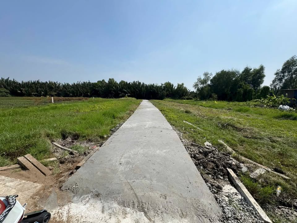 Đất Vườn 500m² tại Xã Mỹ Lộc, Cần Giuộc giá 600 triệu - Sổ hồng chính chủ!