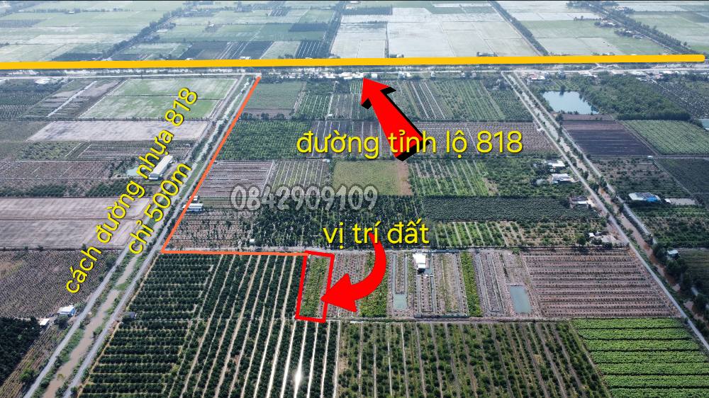 Đất vườn Tân Thành Thủ Thừa 1500m² giá 850 triệu - Đường xe tải thuận lợi!