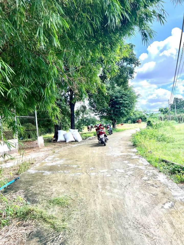 Đất nền Hàm Thắng 750m² giá 700 triệu - Phù hợp làm nhà vườn nghỉ dưỡng