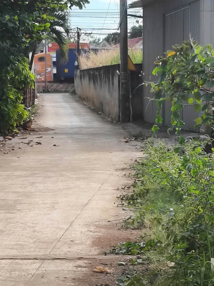 Đất nền Hẻm 303 Tiến Hưng Đồng Xoài 366m² giá 1.69 tỷ - Bán gấp tặng nhà cấp 4!