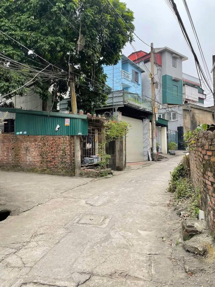 Đất + Nhà cấp 4 Thanh Miếu 79m² giá 2 tỷ - Ô tô vào tận nơi!