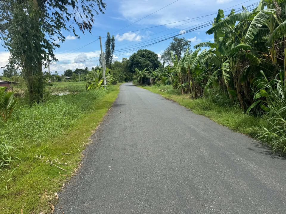 Đất mặt tiền kênh Đỗ Văn Giàu, TP Tân An, 3170m² - Giá đầu tư hấp dẫn!