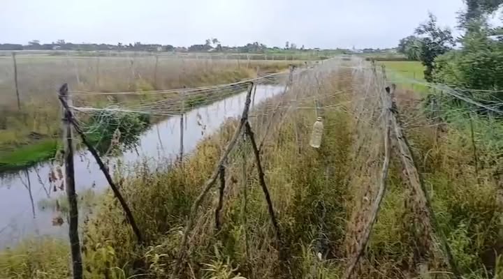 Đất nông nghiệp 10,800m² xã Long Thuận Thủ Thừa Long An - Giá chỉ 900 triệu, cơ hội đầu tư tuyệt vời!