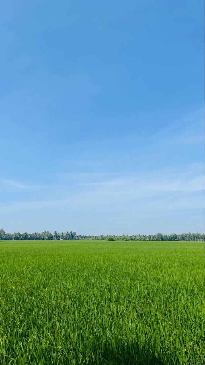 Đất nền Đức Hòa Thượng 120m² giá 599 triệu - Sổ hồng đầy đủ, cơ hội đầu tư tuyệt vời!