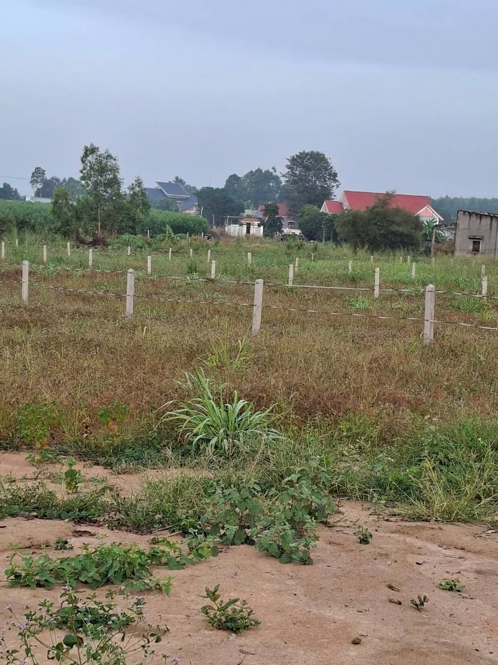 Đất nền Láng Dài Đất Đỏ 360m² giá 1 tỷ - Sổ đỏ chính chủ, bán gấp!