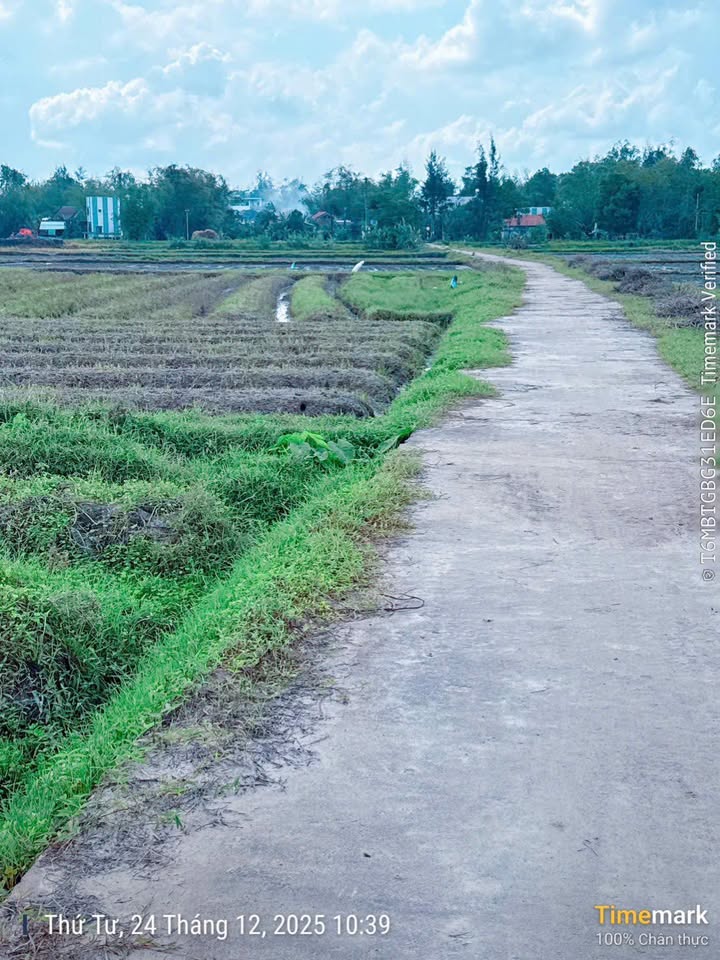 Đất Thăng An, Huyện Thăng Bình, 580m² chỉ 100 triệu - Sổ hồng chính chủ!