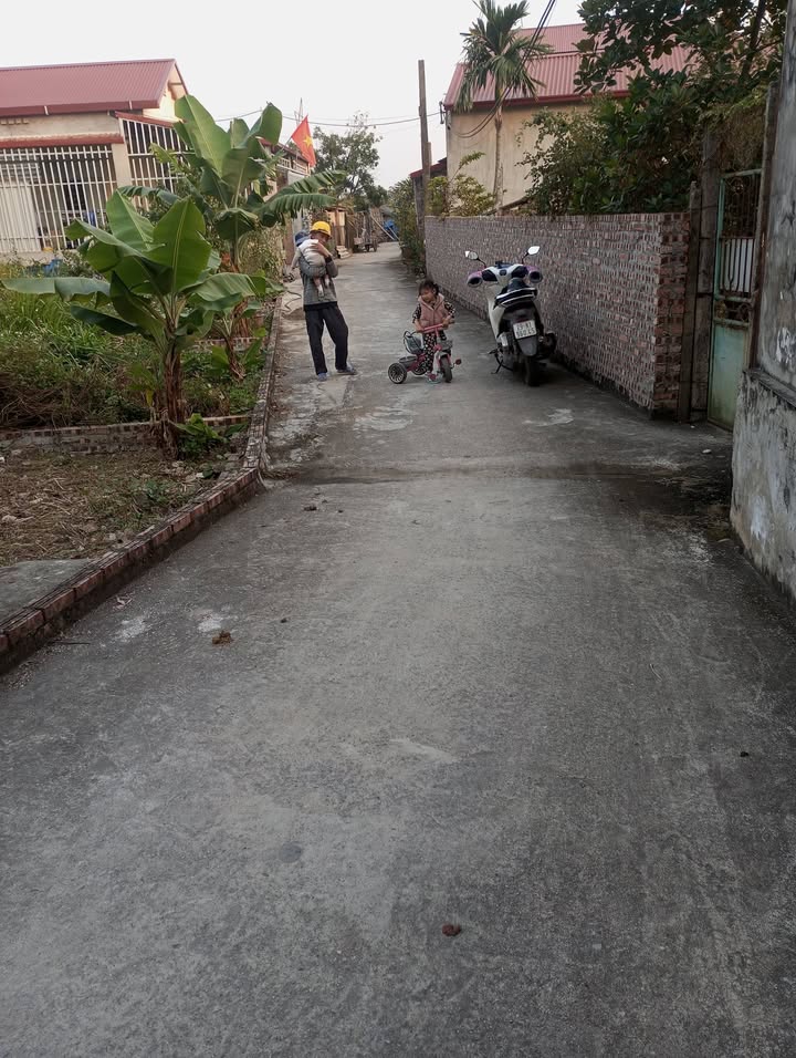 Đất nền Trạm Lộ, Thuận Thành, Bắc Ninh 53.4m² giá chỉ 1.7 tỷ - Cơ hội đầu tư hấp dẫn!