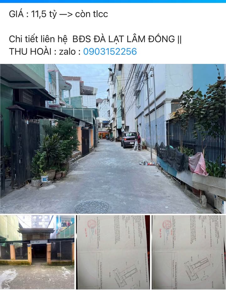 Đất nền khu Hòa Bình Đà Lạt 116,5m² giá 11,5 tỷ - Đầu tư sinh lời ngay trung tâm!