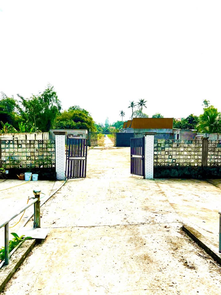 Farm Ấp Chiến Lược, Cao Lãnh 32,760m² giá 4.5 tỷ - Đầu tư an nhàn cho tương lai!